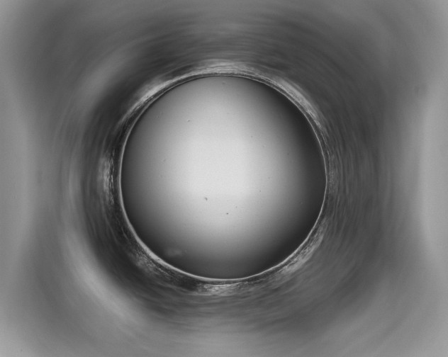 X0000115301438200911091003