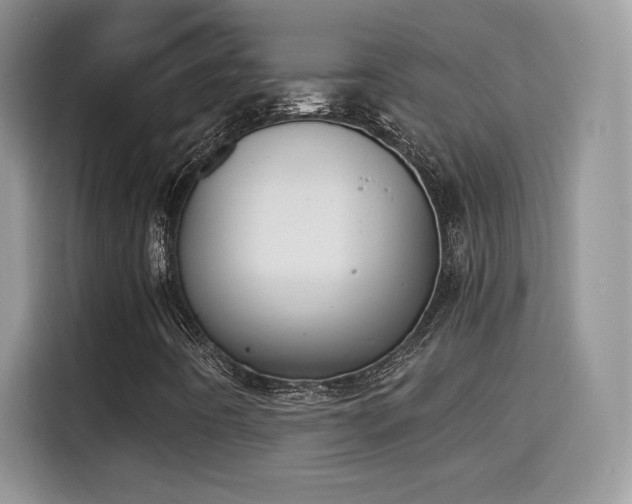 X0000115301442200911091003
