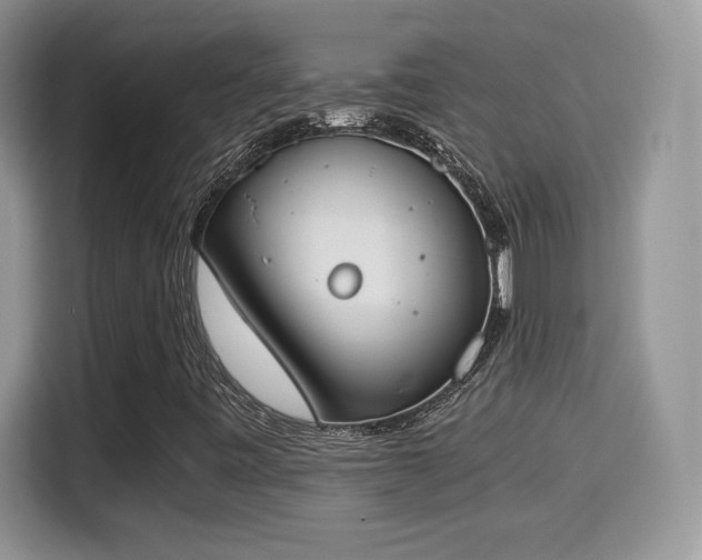 X0000115301443200911091003