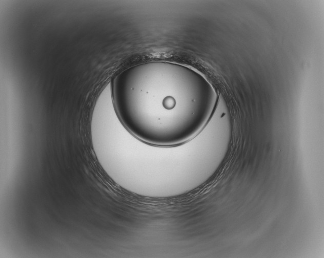 X0000115301444200911091003