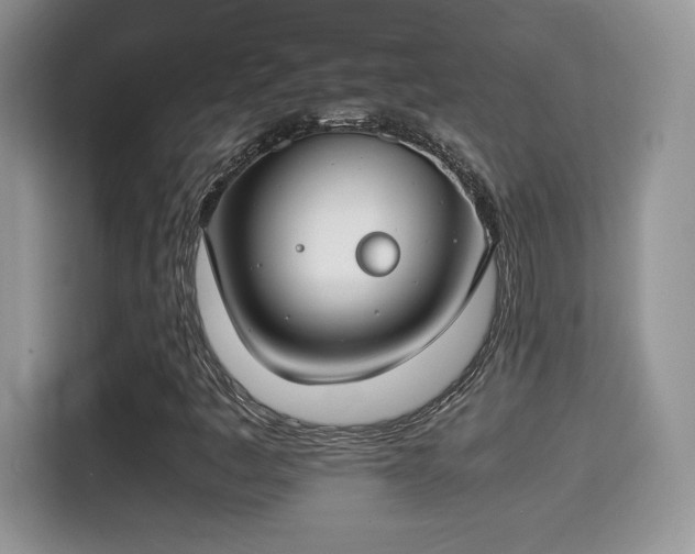 X0000115301445200911091002