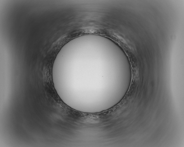 X0000115301446200911091002