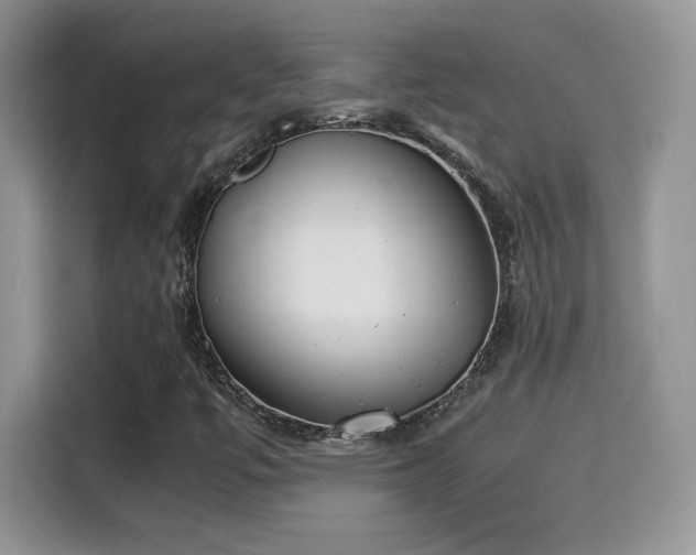 X0000115301447200911091002