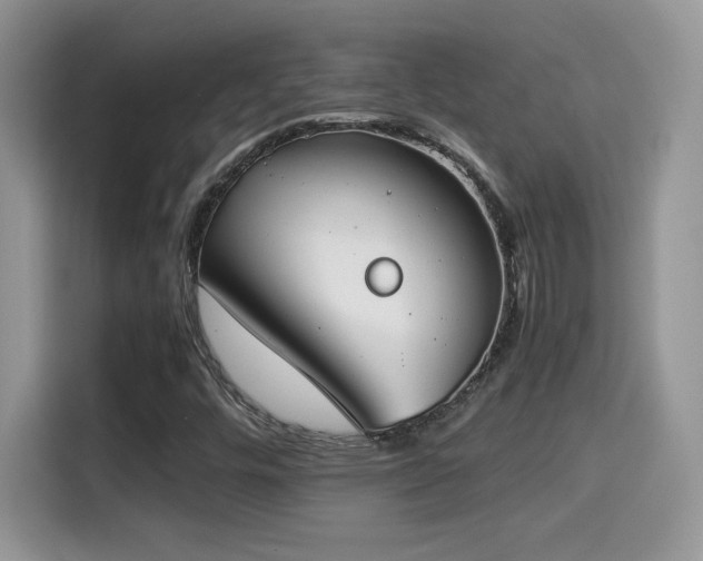 X0000115301448200911091002