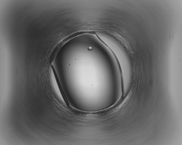 X0000115301449200911091002