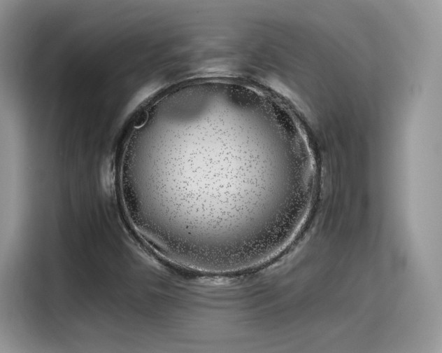 X0000115301450200911091002