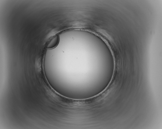 X0000115301451200911091002