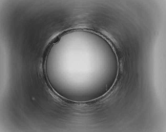 X0000115301452200911091002