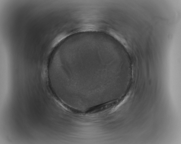 X0000115301453200911091002