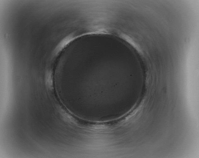 X0000115301455200911091002