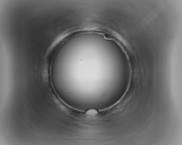 X0000115301456200911091002