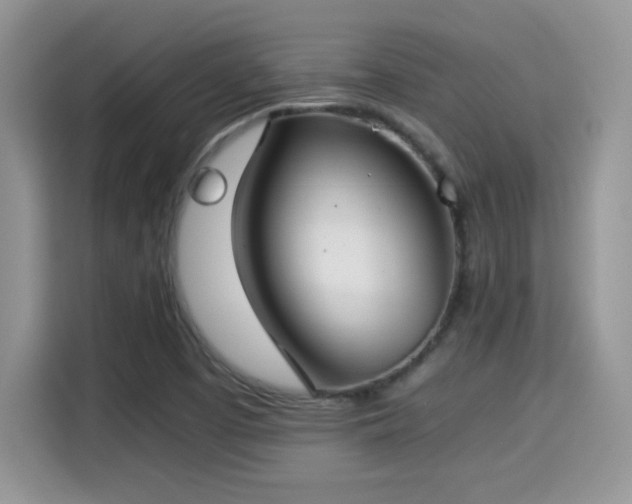 X0000115301457200911091002