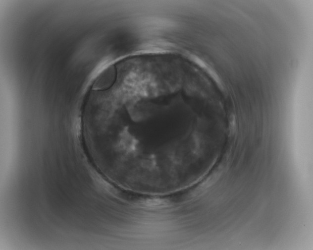 X0000115301459200911091002