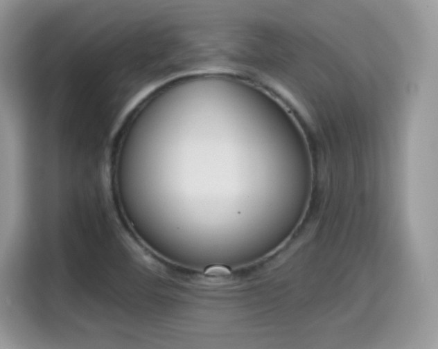 X0000115301460200911091002