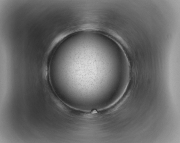 X0000115301461200911091002