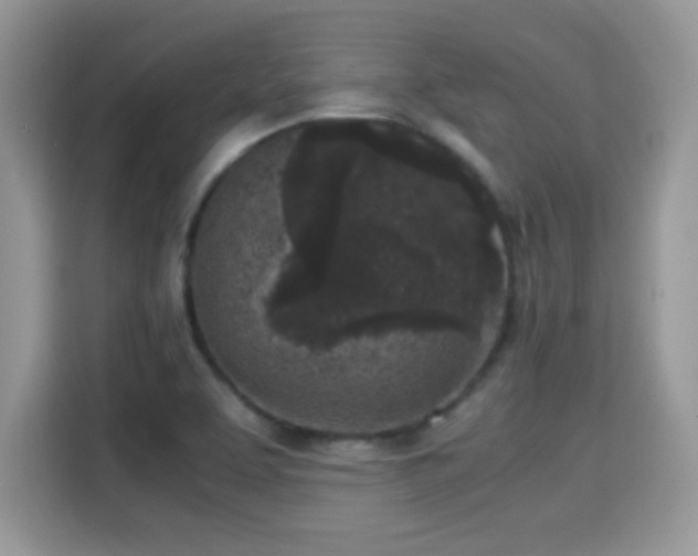 X0000115301463200911091002