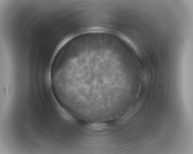 X0000115301466200911091002
