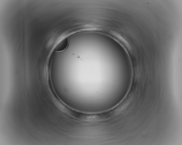 X0000115301467200911091002