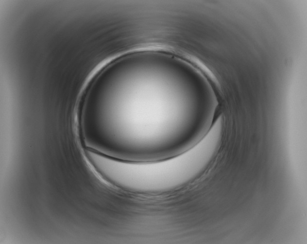 X0000115301468200911091002