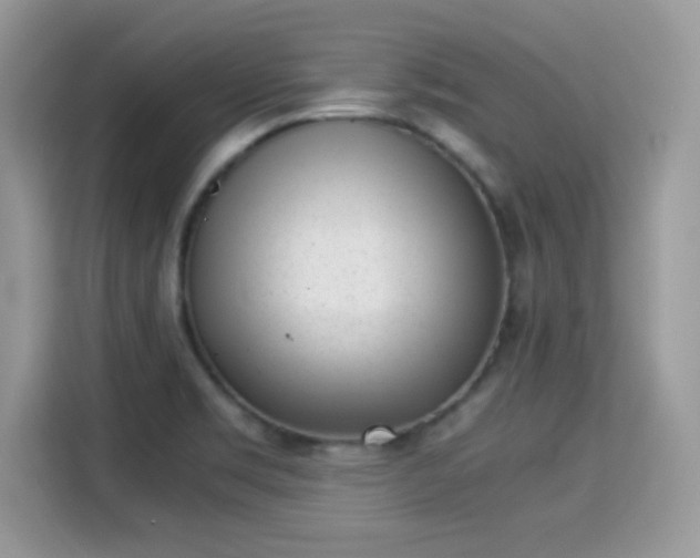 X0000115301469200911091002