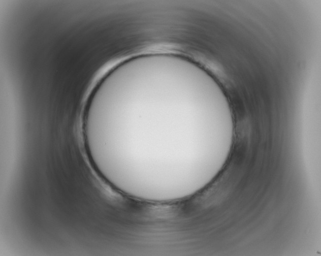 X0000115301470200911091002