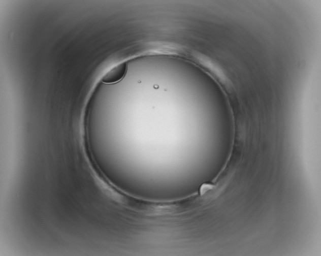 X0000115301471200911091002