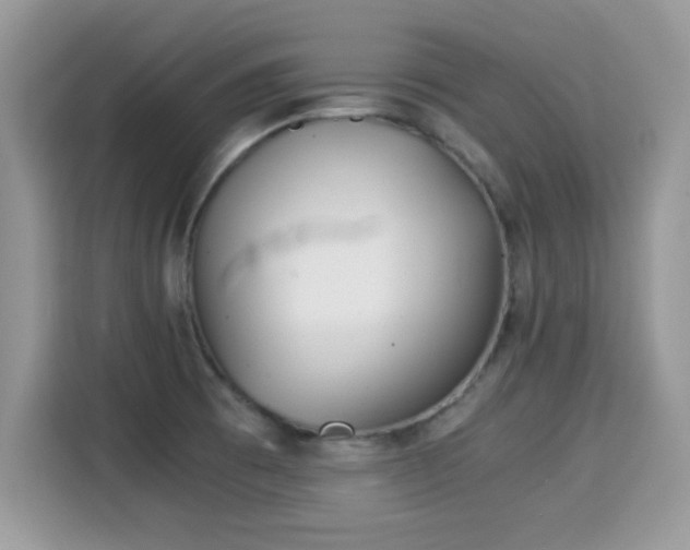 X0000115301473200911091002