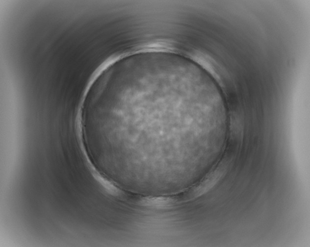 X0000115301474200911091002