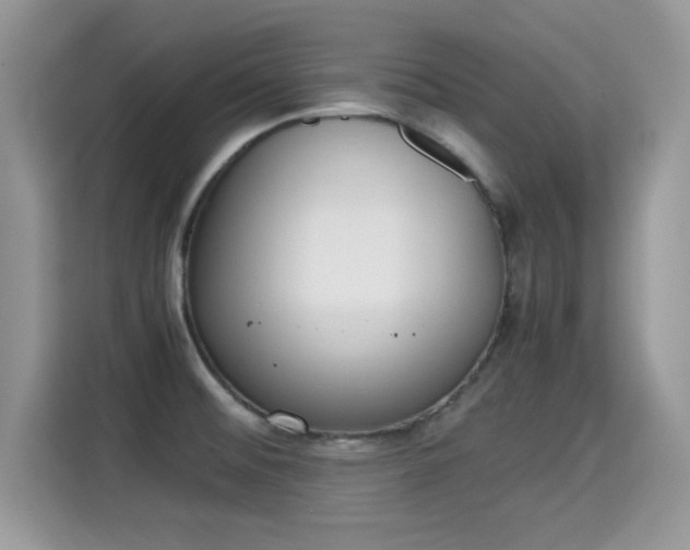 X0000115301476200911091002