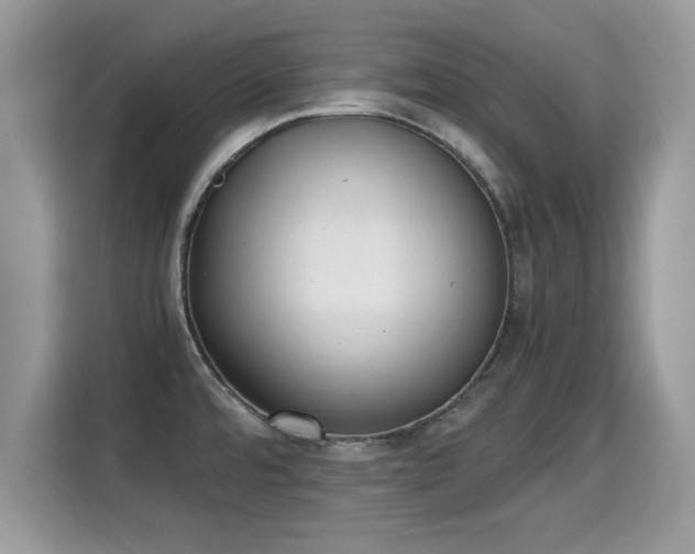 X0000115301480200911091002