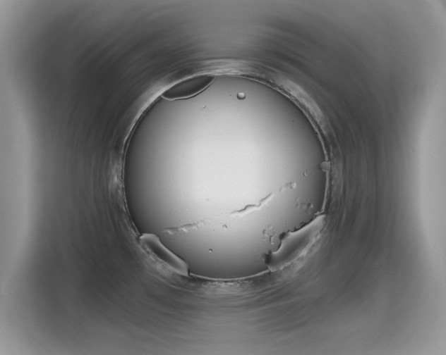 X0000115301481200911091002