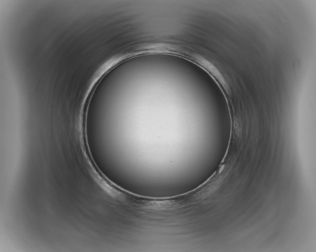 X0000115301482200911091002