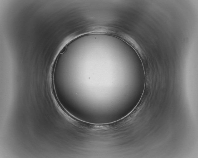 X0000115301483200911091002