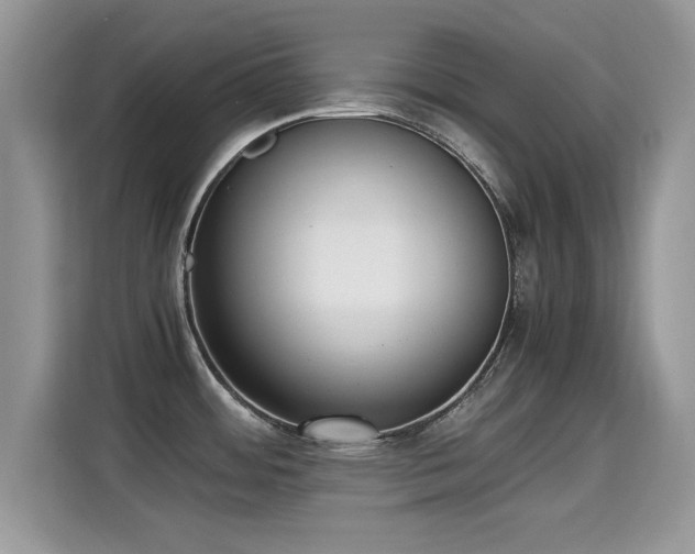 X0000115301484200911091002