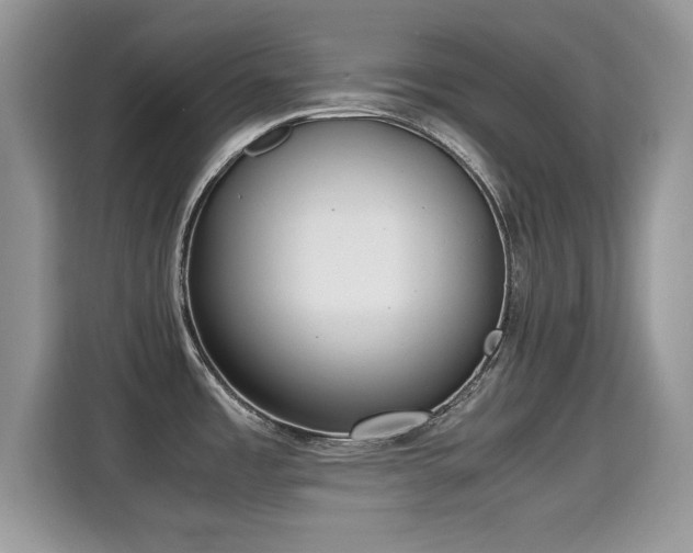 X0000115301485200911091002