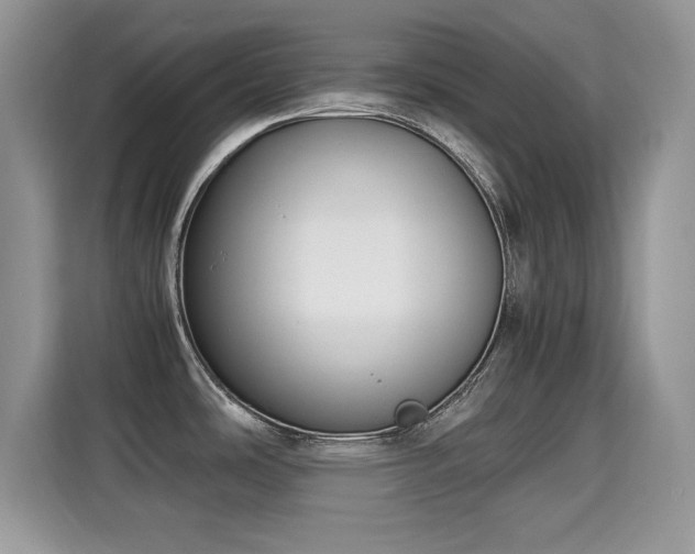 X0000115301486200911091002