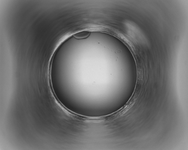 X0000115301487200911091002