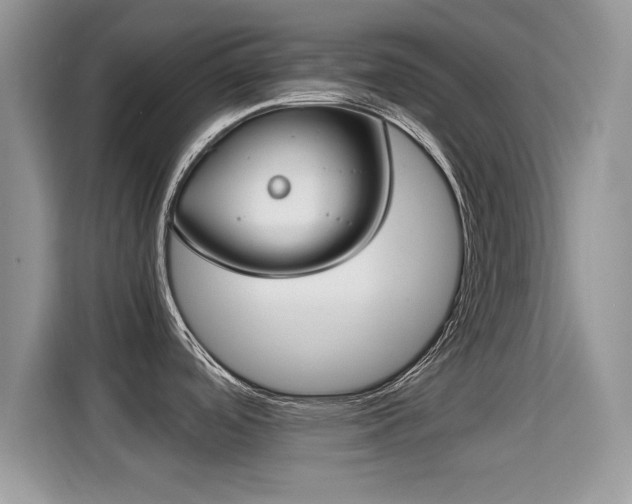 X0000115301488200911091002