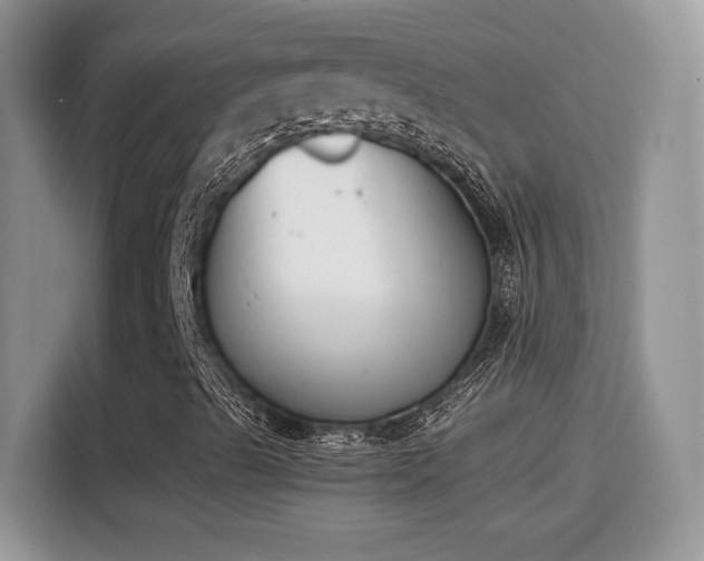 X0000115301489200911091001