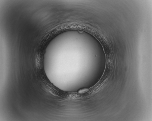 X0000115301490200911091001