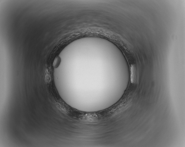 X0000115301491200911091001