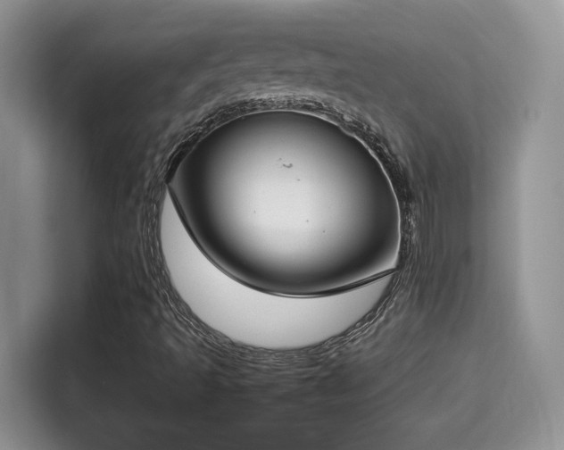 X0000115301493200911091001