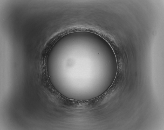 X0000115301494200911091001