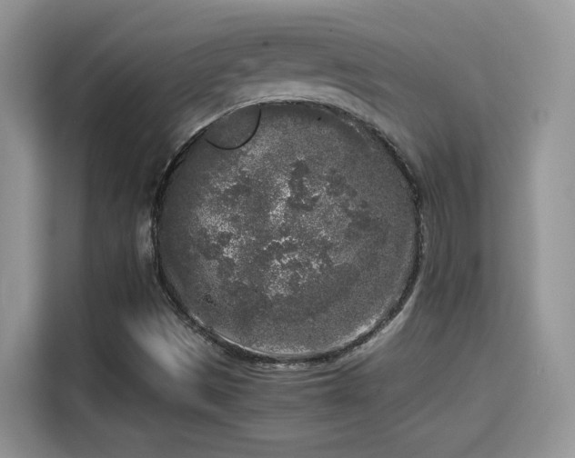 X0000115301497200911091001