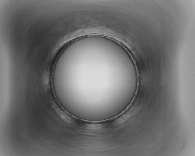 X0000115301499200911091001