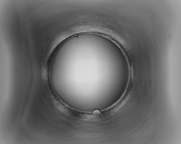 X0000115301501200911091001