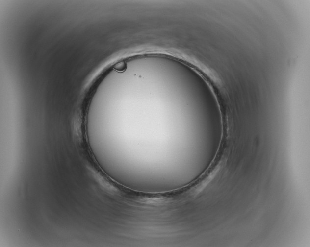 X0000115301502200911091001