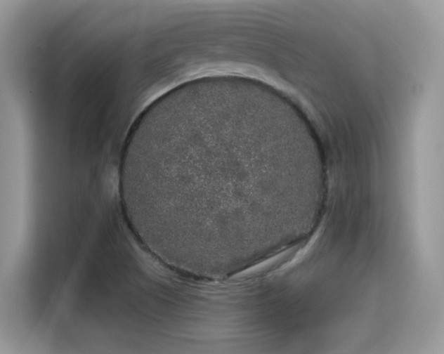 X0000115301505200911091002