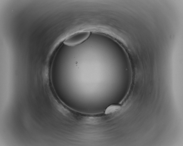 X0000115301506200911091002
