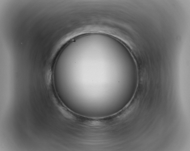 X0000115301507200911091002